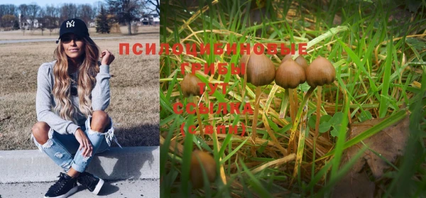 герыч Козловка