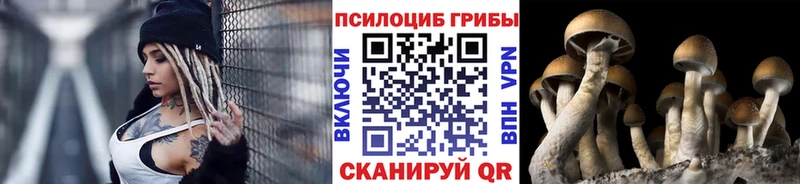 hydra ONION  Красноармейск  Галлюциногенные грибы ЛСД  закладка 