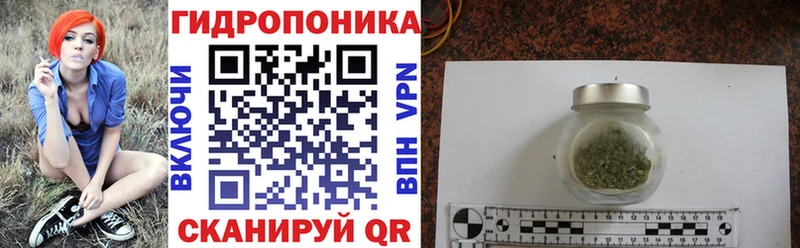 купить сайты Красноармейск Каннабис семена
